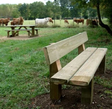 Banc Campagnard en bois - Pin traité autoclave classe 4 - Piétements 120x120 mm - Lames 45x195 mm_1