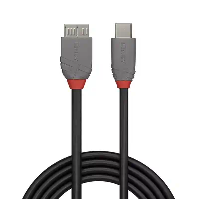 LINDY 1m USB 3.2 Type C to Micro-B Cable Anthra Line_1