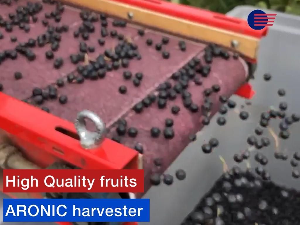 Récolteuse aronia avec haute précision de 99%