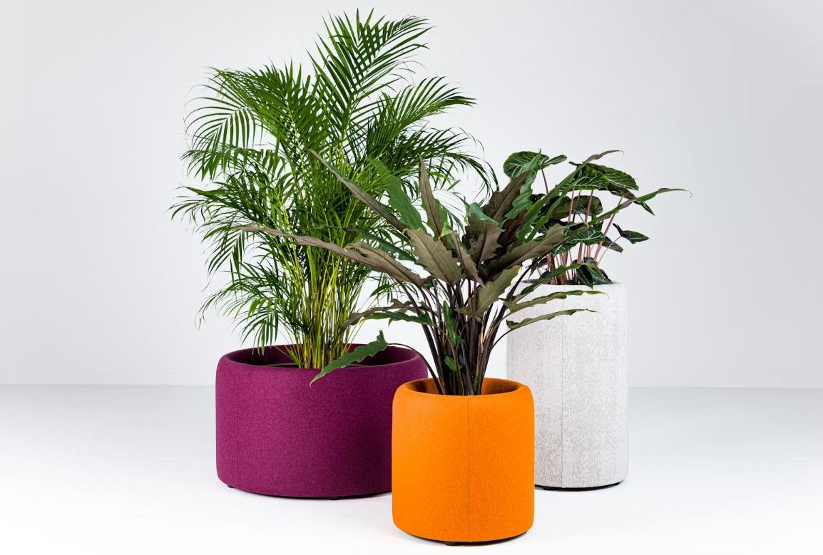 Cloison acoustique végétalisée pour bureaux contemporains_1