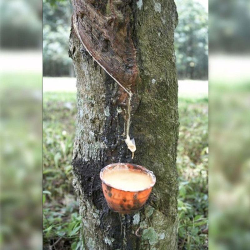 Se14cc65 - Caoutchouc néoprène - Solutions élastomères - Plaque 5 mm d'épaisseur_1