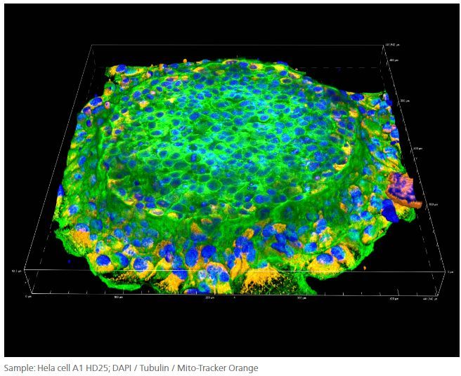 Lentille d'objectif à immersion en silicone - haute résolution pour imagerie biologique_1