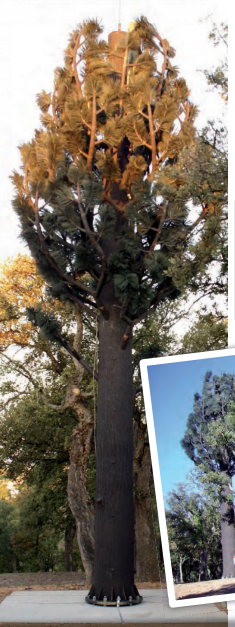 Pylônes arbres accès intérieur pin - accès nacelle - 9 à 30 m - 6 antennes panneaux_1