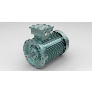 Moteur atex - o.M.E - puissance 0,75 et 315 kw_1