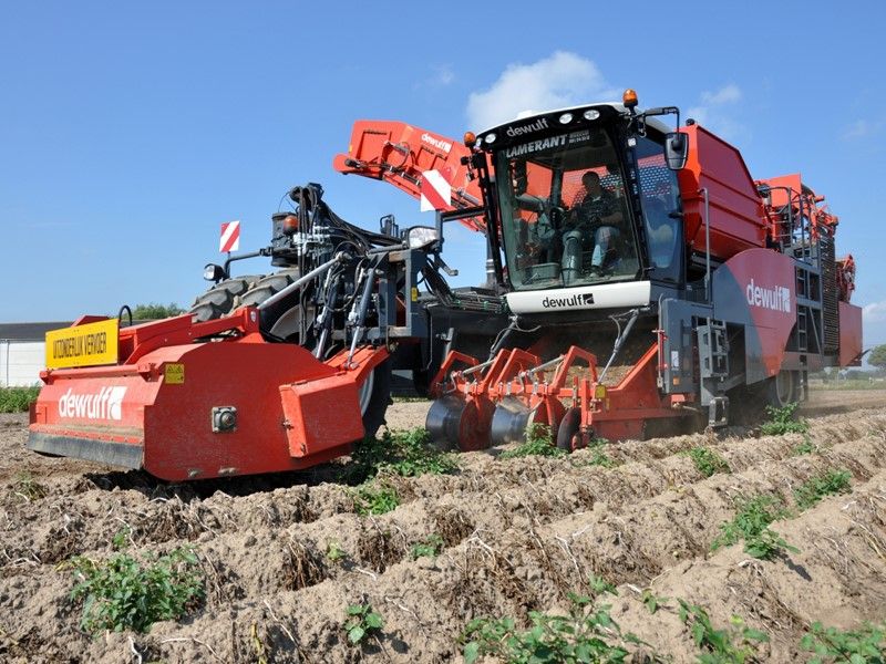 Arracheuse par tamissage R3060 - Dewulf BV - moteur Scania 350 ch - largeur 3500 mm - cabine spacieuse Claas_1