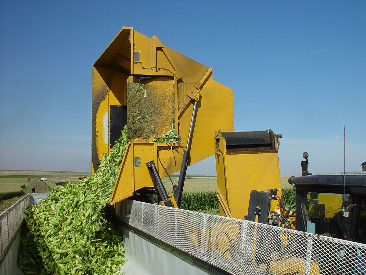 Arracheuse Oxbo 9630 - OxboCorp - Longueur 8.33 m - Largeur 4.32 m - Châssis 586 pieds cubes_1