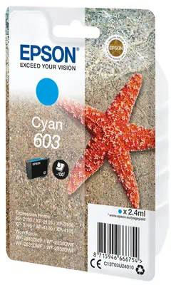Epson Singlepack Cyan 603 Ink_1