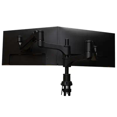 Bras d'écran R-Go Caparo, pour deux écrans, réglable par vérin à  gaz, capacité de charge 3-9 kg, 100_1