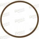 Courroie de ventilateur - dynamo / alternateur - référence PTA-A48973 pour tracteurs Case International Harvester_1