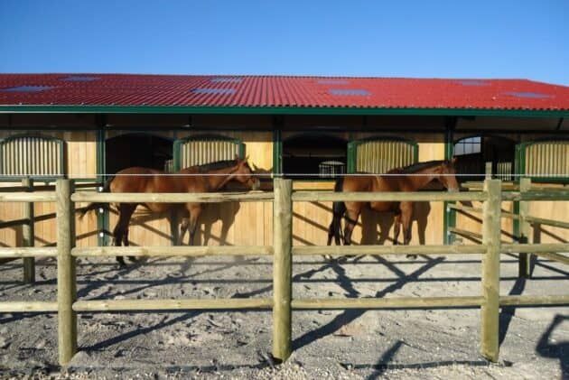 Clôture bois Harmonie pour chevaux - Horse Stop - 3 lices, 1m70, ref. Bh14250-3 - sécuritaire et résistante_1