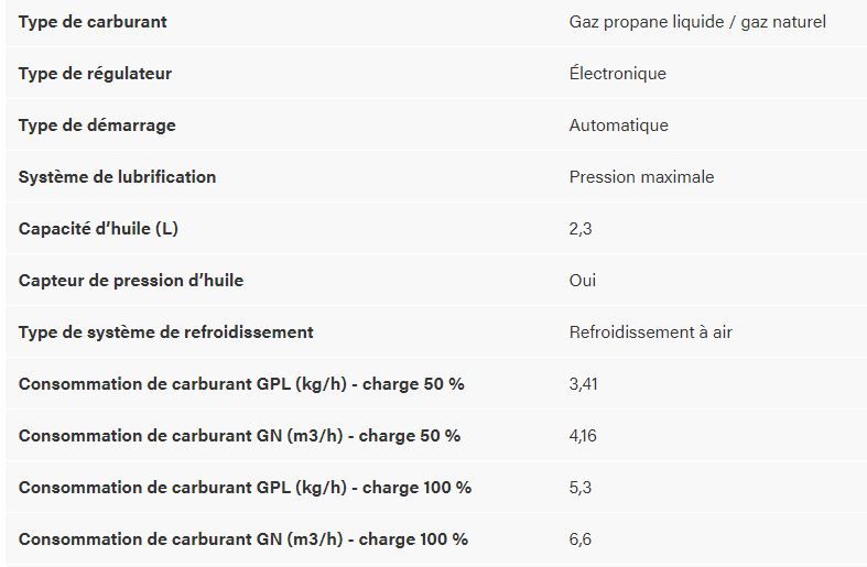 G140 groupe électrogène - briggs - tension (v) 230_1