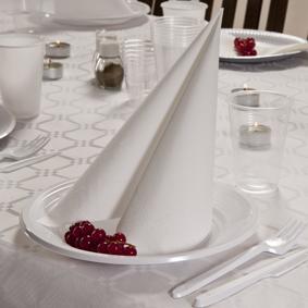 Serviette ouate 2 plis blanc 33x33cm - biodégradable et compostable - par 300_1