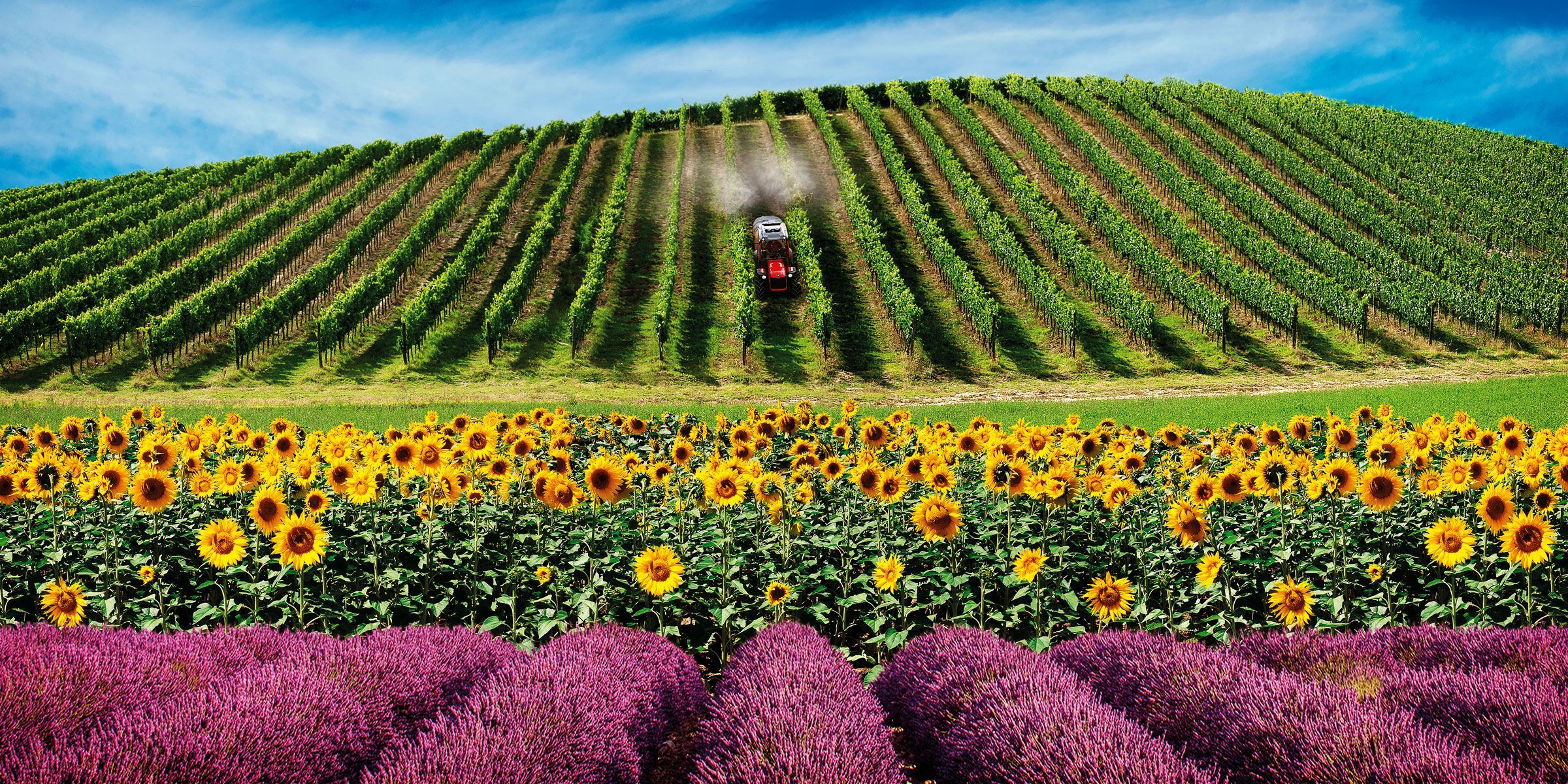 Trg 10900 - tracteur agricole - Antonio Carraro - capacité 2400 kg - réversible et polyvalent_1