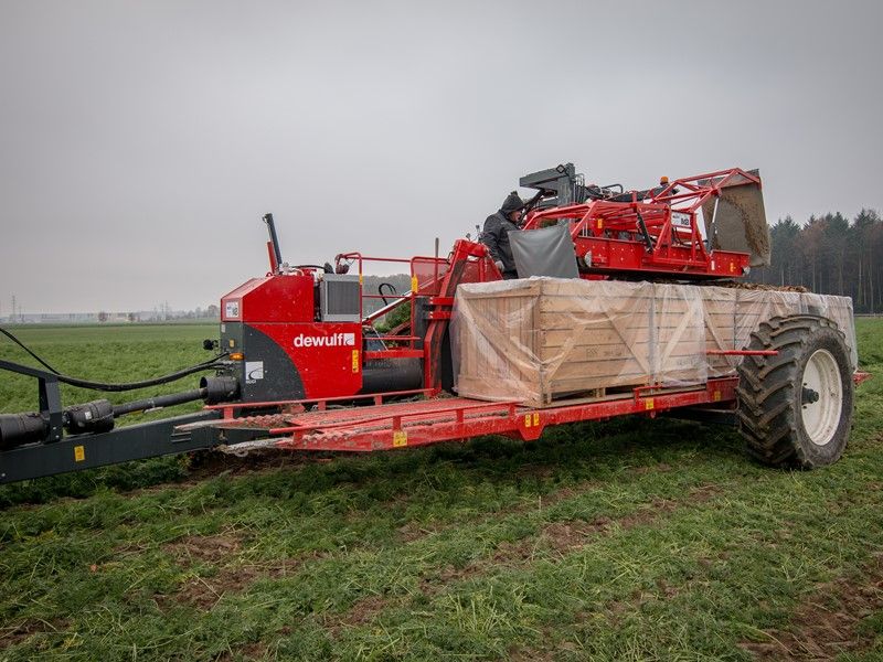 Machine agricole Dewulf avec système de transport de pallox continu