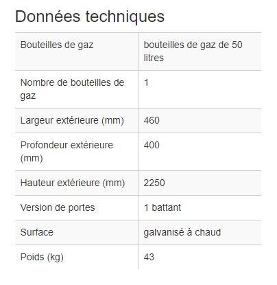 116949W - Armoire pour bouteilles de gaz DGF 1 - robuste, ventilée, avec serrure et chaîne de sécurité_1
