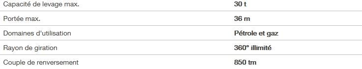 Rl 850 grue portuaire offshore - liebherr - capacité de levage max 30t_1