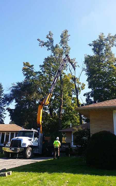 Grue auxiliaire Big 655 - Effer - pression 330 bar, capacité de levage 30 à 300 txm_1