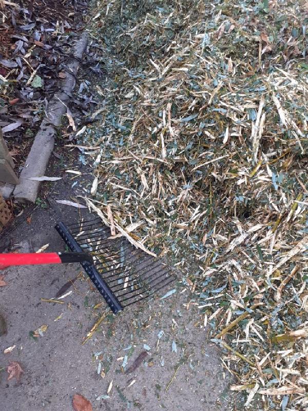 Fourche à fumier - dents rondes - manche bois verni 1m20 - 37cm - 10 dents - Polet_1