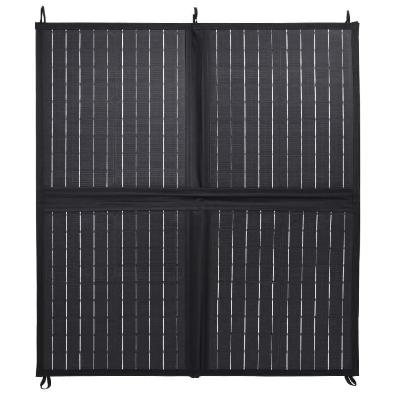 Vidaxl chargeur de panneau solaire pliable 80 w 12 v 92001_1
