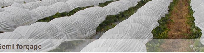 Films agricoles semi-forçage - Agripolyane - très résistants et adaptés aux cultures précoces et tardives_1