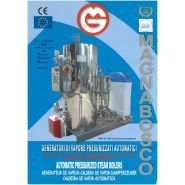 Générateur de vapeur - gaz, gasoil, naphta - Série GVR / Magnabosco_1