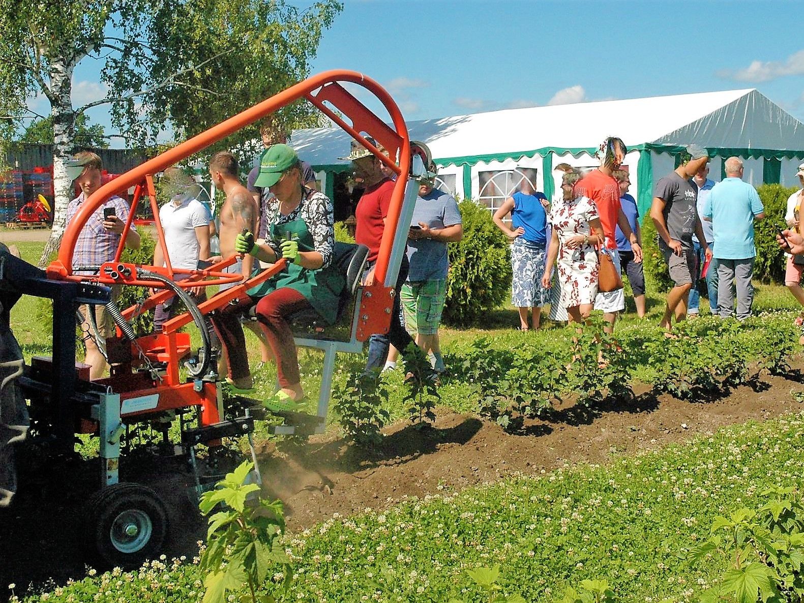Bineuse rotative adaptée à l’agriculture biologique