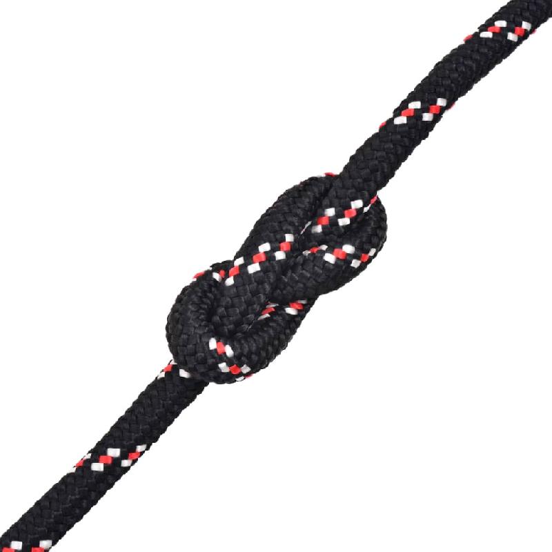 Vidaxl corde de bateau polypropylène 10 mm 50 m noir 91286_1