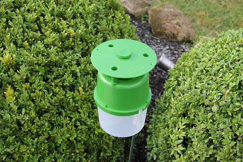 Solution anti-insectes Solabiol efficace