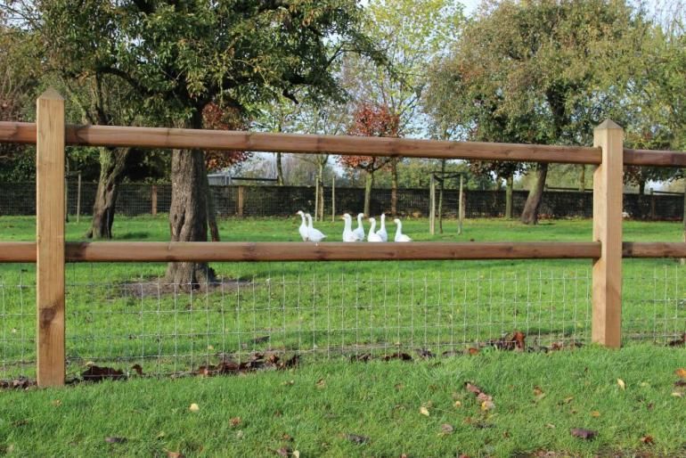 Windsor - clôture en bois pour chevaux - pin rouge norvégien durable - hauteur 1m20 à 1m30_1