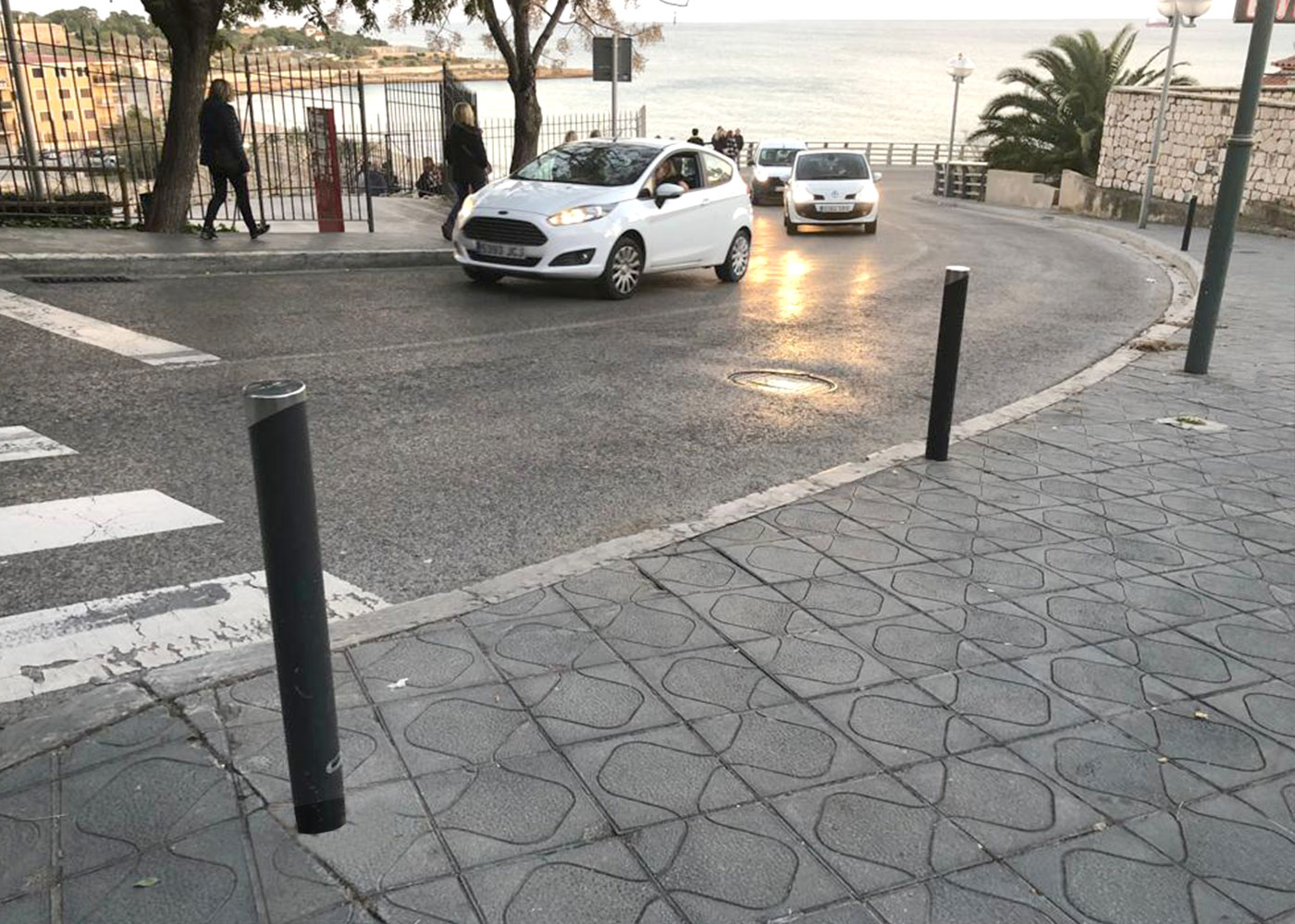 Borne Dalia - h314 - acier avec traitement Ferrus et enjoliveur inox_1