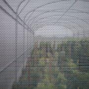 Filet anti-insectes - Thrips et aleurodes, 270x600 microns, 2.7 x 200 m, 130g/m² - Monofil tissé imputrescible_1