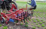 Outil agricole pour suppression des mauvaises herbes