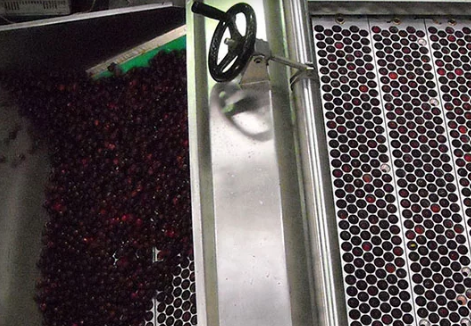 Dénoyauteuse par poussée ou pincement -Production de 200Kg à 3000kg par heure_1