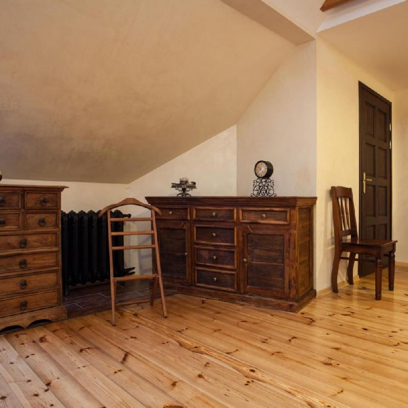 Traitement du bois - meubles, parquets et boiseries XYLOPHENE - 25 ans, 1L - préventif et curatif_1