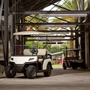 Véhicule     de transport     Toro Vista Lithium_1