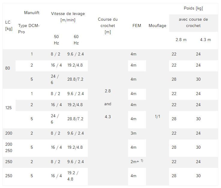 Dcm-pro - palan - demag cranes & components sas - charge jusqu'à 250 kg_1