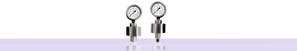 M0306S103D63R60DR4SGE - Manomètres à membrane en acier inoxydable - Gesa - Bride Ø62mm_1