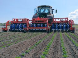 Machine agricole innovante pour sarclage entre plants sur un même rang