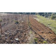 BM 401 - Broyeur de pierres Plaisance Equipements - 70 à 120 CV - robuste et performant pour conditions variées_1