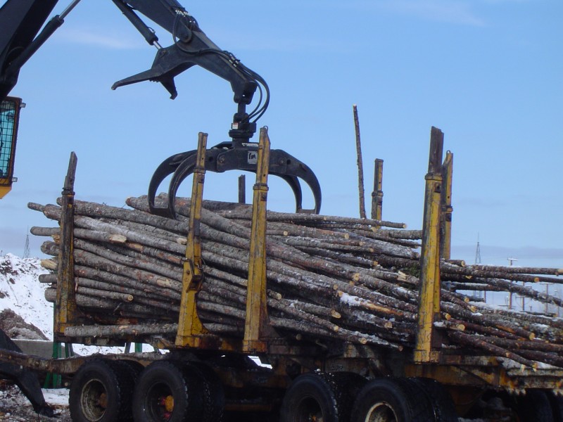 Grappin forestier de regroupement Rotobec - Série robuste avec rotation 360° et cylindres hydrauliques haute pression_1