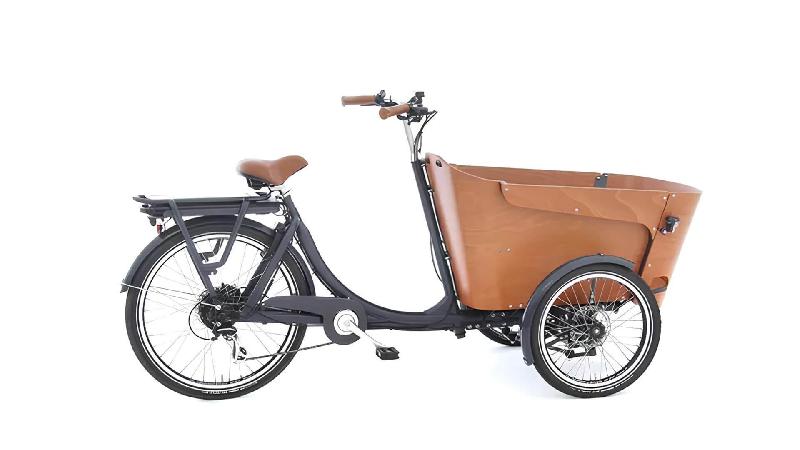 Triporteur électrique Babboe Flow-E - Vélo familial avec moteur GWA et pneus Schwalbe_1