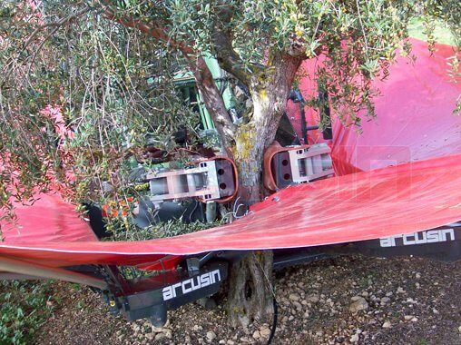 Autopick GTi - Vibreur d'arbre fruitier - Arcusin - Secoueur et ramasseur intégré pour plus de vitesse_1