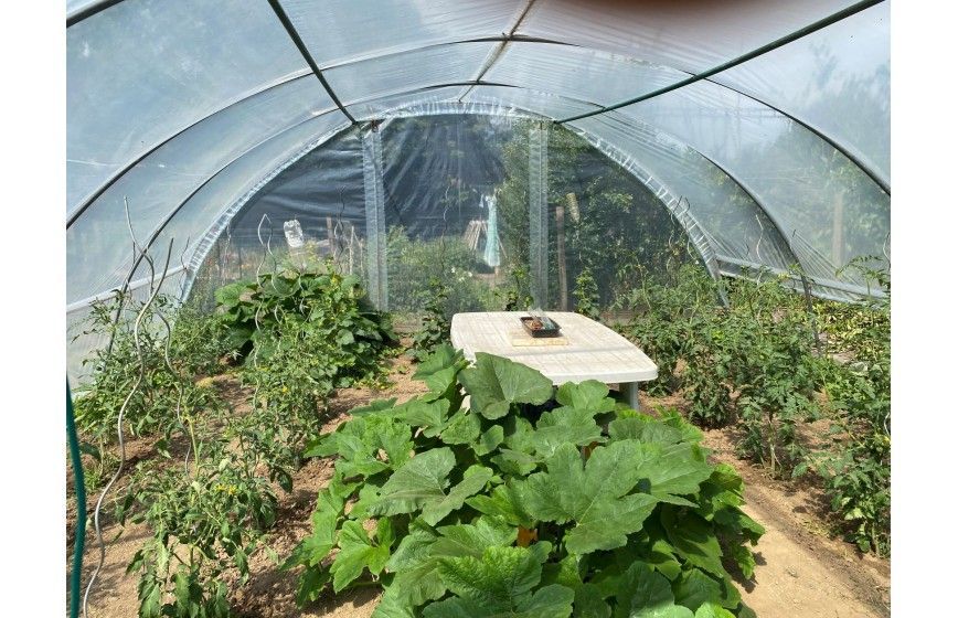 Serre de jardin avec aérations latérales des 2 côtés relevables par manivelles sur 0,70 m de hauteur - idéale pour les jardins de plus grande surface - SUPER_2