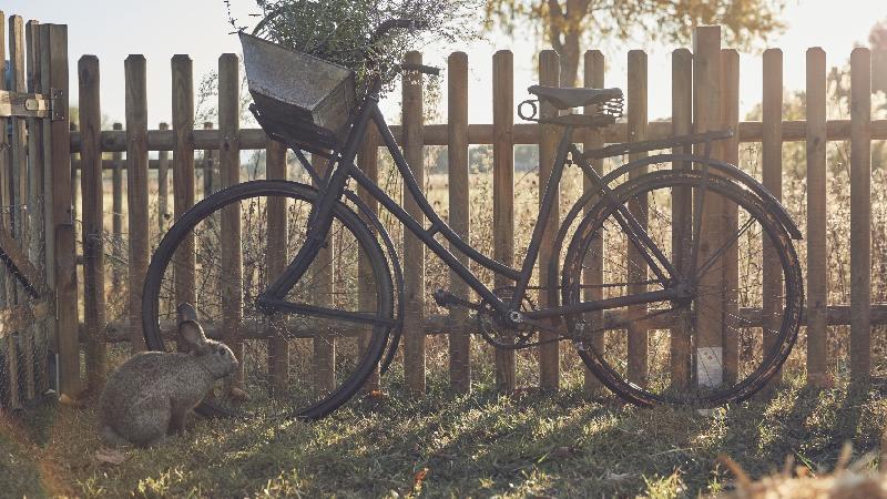 Barrière en bois Buffalo - H.100 x L.180 cm - traitement autoclave - garantie 3 ans_1