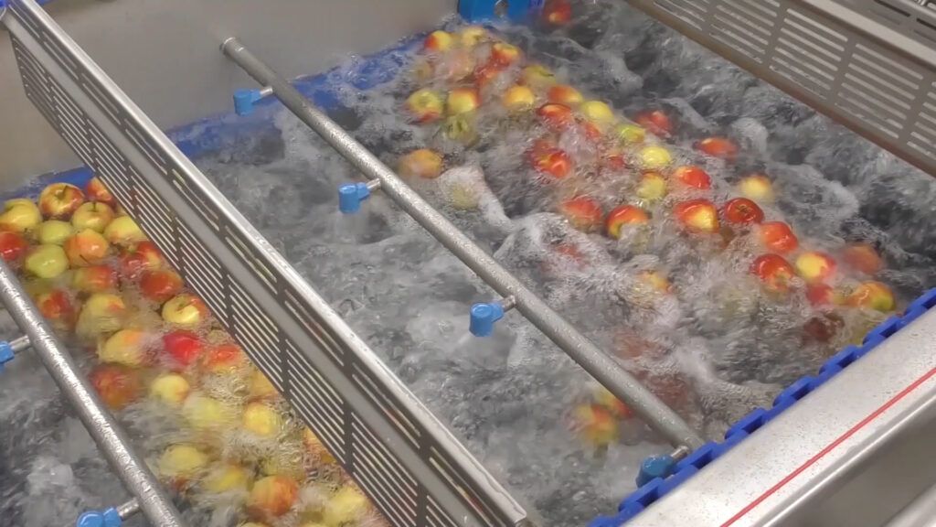 Fw - laveuses industrielles alimentaires - sormac - laveuse de fruit_1