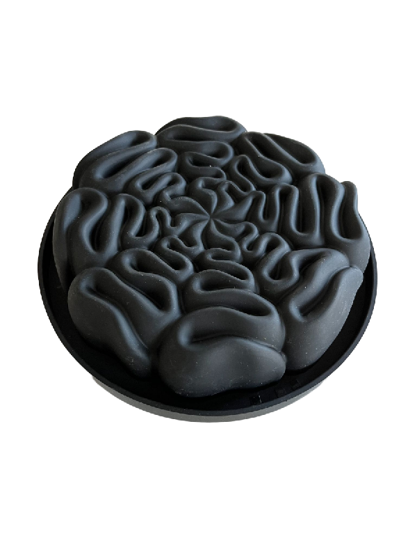 Moule à gâteau en silicone