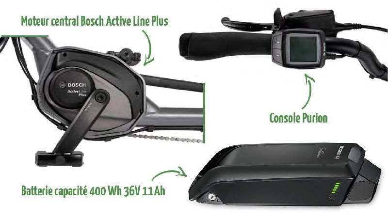 Tricycle électrique Roma - Moteur Bosch Active Line - Batterie Lithium-Ion 400Wh_2