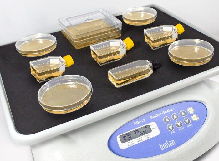 MR-12 - Agitateurs à bascule de laboratoire Biosan - Plate-forme 480 x 380 mm, vitesse ajustable et inclinaison_1