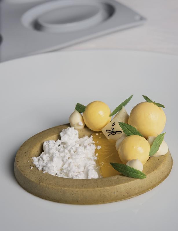 Ovale - Moule en silicone Gourmand Pavoni Italia - 9 empreintes_1