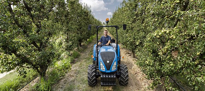 Tracteur agricole New Holland T3.60F pour arboriculture